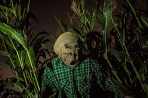Haunted Field of Screams - Halloween Corn Maze & Haunted House in Thornton, Colorado