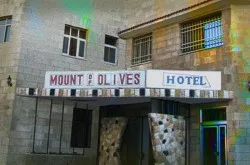 Olive Hotel Haunted Hotel