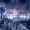 Haunted Palo Verde