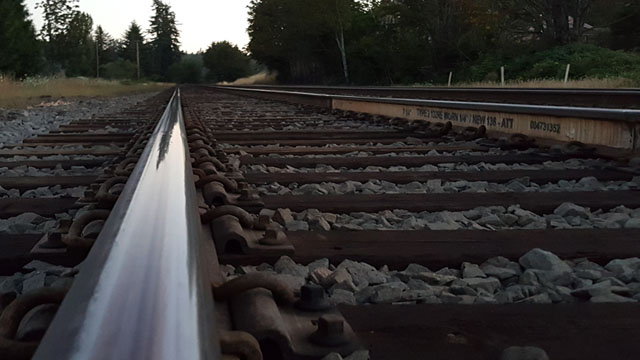 Bucoda Train Haunted Tracks