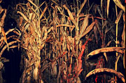 Top Haunted Houses in West Virginia - Miller's Nightmare Haunted Farm