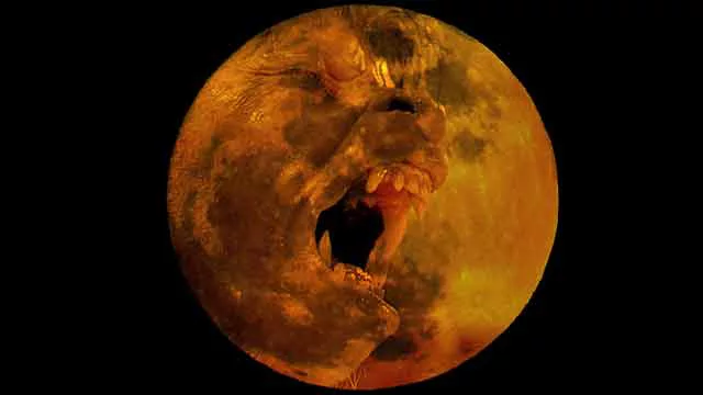 An American Werewolf in London Remake