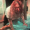 Nile Nightmares Haunted House