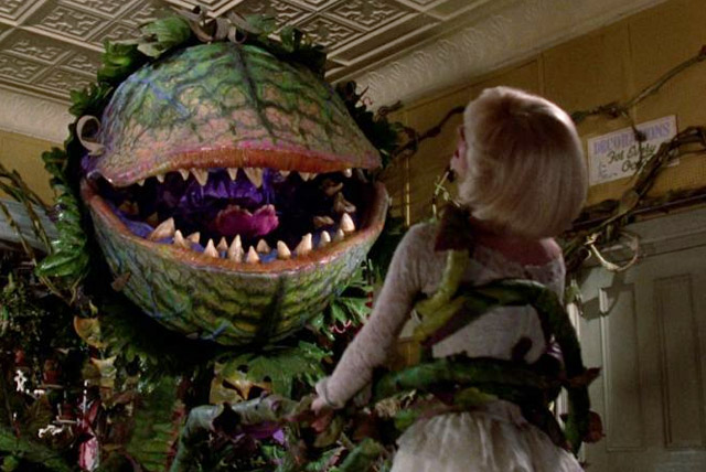 Little Shop of Horrors