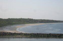 Higbee_Beach_by_Mr._Matte_on_Wikimedia