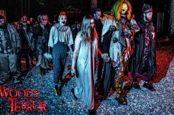 The Spooky Woods of Terror Haunted House
