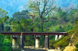 Jatinga - Assam, India