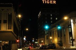 Tiger Hotel