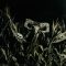 Total Terror Haunted Attraction