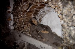 Catacombs of Rome