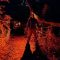 Buffalo Bill’s Haunted Trail
