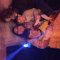 IMG55341760574088