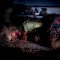 Nightmare Forest — Haunted House Near Louisville KY