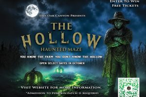HollowPostcardDesign1783996127