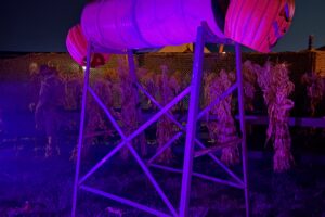 IMG_33611792523072