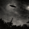 The Dover Demon: The Mysterious Creature That Baffled Massachusetts